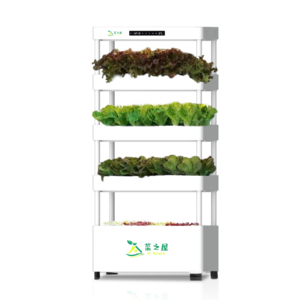 C02菜之屋 家庭智能种菜机 无水栽培 水培蔬菜 种菜神器